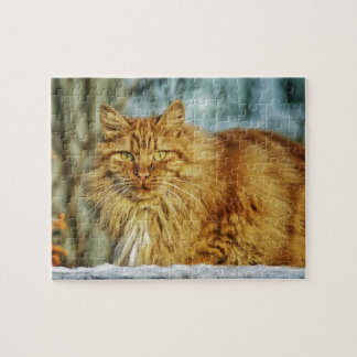Fluffig långhårig orange Manly katt Pussel