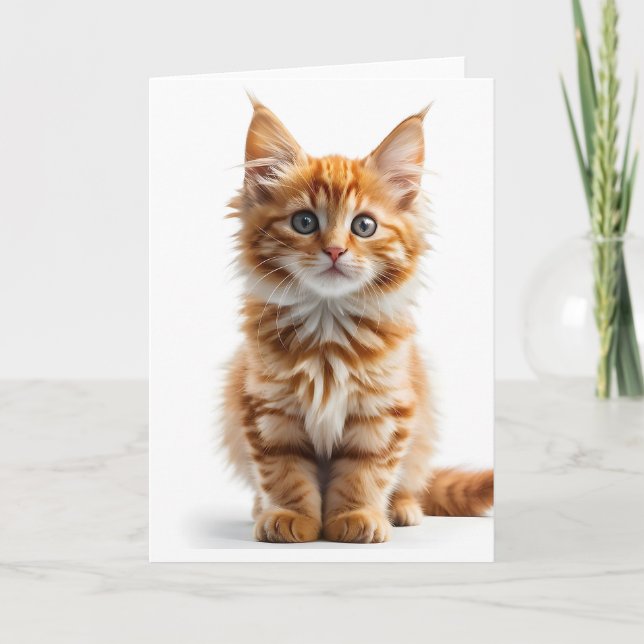 Fluffig Långhårig Orange Tabby Katt Blank Kort (Framsida)