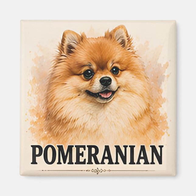 Fluffig Pomeranian Hund Älskare Present Magnet (Framsidan)