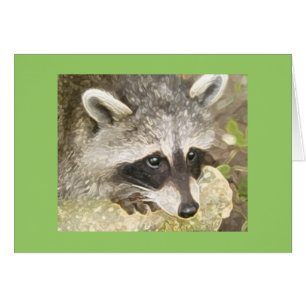 fluffig raccoon hälsningskort
