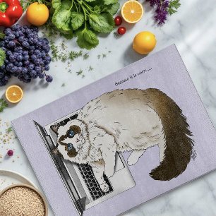 Fluffig Ragdoll Katt Lavendel Bärbar Rolig