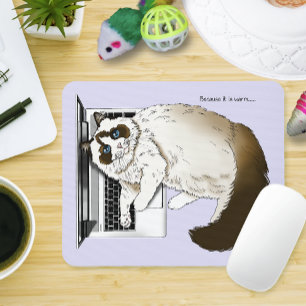 Fluffig Ragdoll Katt Lavendel Bärbar Rolig Musmatta
