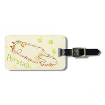 Fluffig sömnig katt