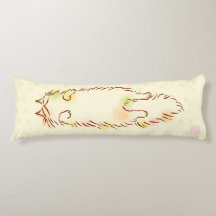 Fluffig sömnig katt