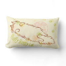 Fluffig sömnig katt