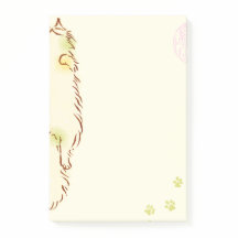 Fluffig sömnig katt