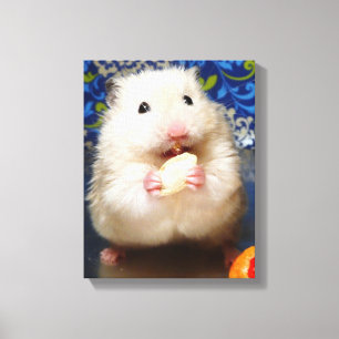 Fluffig syriansk hamster Kokolinka som äter en Canvastryck