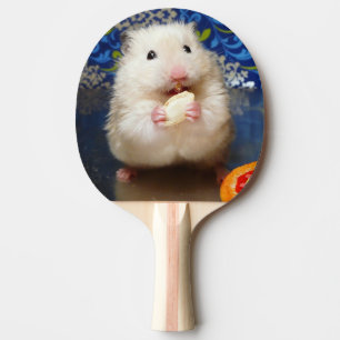 Fluffig syriansk hamster Kokolinka som äter en Pingisracket