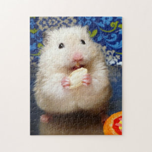 Fluffig syriansk hamster Kokolinka som äter en Pussel