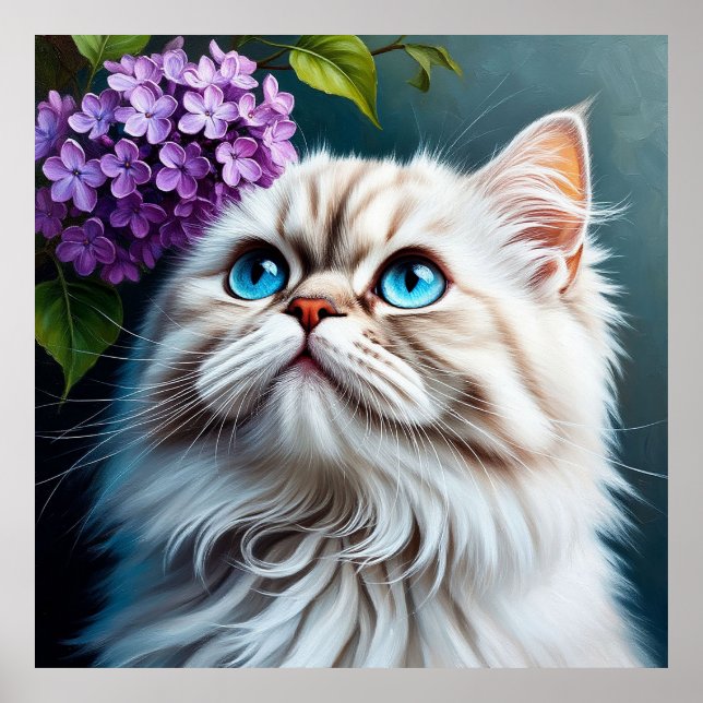 Fluffig Vit Katt Med Blå Ögon Poster (Framsidan)
