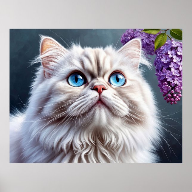Fluffig Vit Katt Med Blå Ögon Poster (Framsidan)
