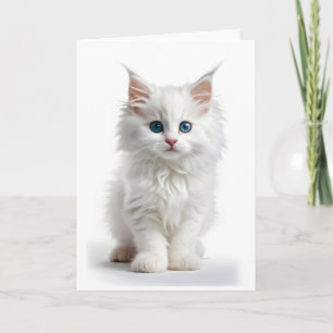 Fluffig vit långhårig katt blå ögon tom kort