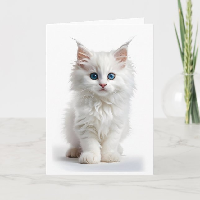 Fluffig vit långhårig katt blå ögon tom kort (Framsida)