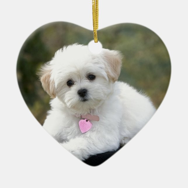 Fluffig vithund julgransprydnad keramik (Framsidan)