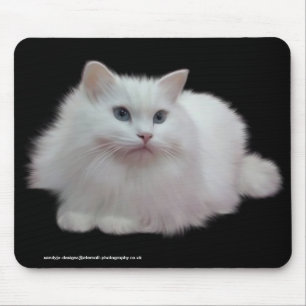 Fluffig vitkatt musmatta