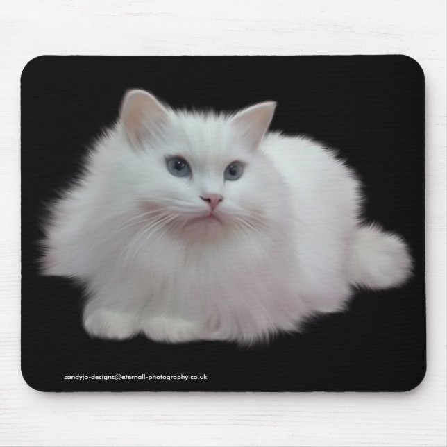 Fluffig vitkatt musmatta (Framsidan)