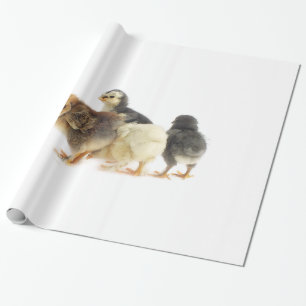 fluffiga chickar presentpapper