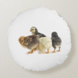 fluffiga chickar rund kudde