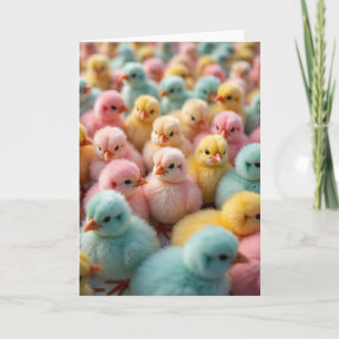 Fluffiga Pastell Kycklingar Fotokort Kort