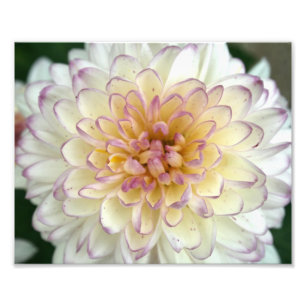 fluffigt fototryck