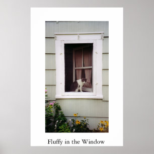 Fluffigt i fönstret poster