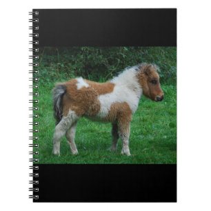 Fluffy Adsible Dartmoor Pony Anteckningsbok Med Spiral