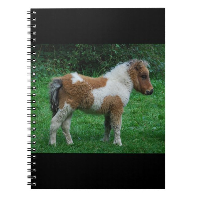 Fluffy Adsible Dartmoor Pony Anteckningsbok Med Spiral (Framsidan)