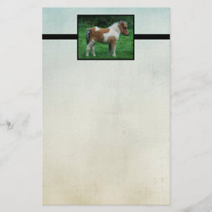 Fluffy Adsible Dartmoor Pony Brevpapper