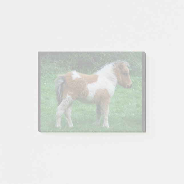 Fluffy Adsible Dartmoor Pony Post-it Block (Framsida)