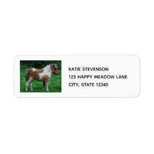 Fluffy Adsible Dartmoor Pony Returadress Etikett