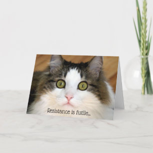 Fluffy Ansikte Valentine Cat Helgkort