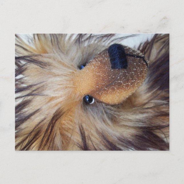 Fluffy Bear Vykort (Framsida)