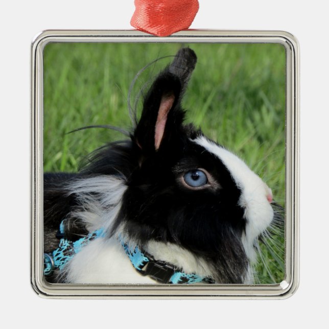 Fluffy Black and White Lionhead Bunny Rabbit Julgransprydnad Metall (Framsidan)