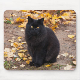 Fluffy Black Kattunge och Höst löv Musmatta
