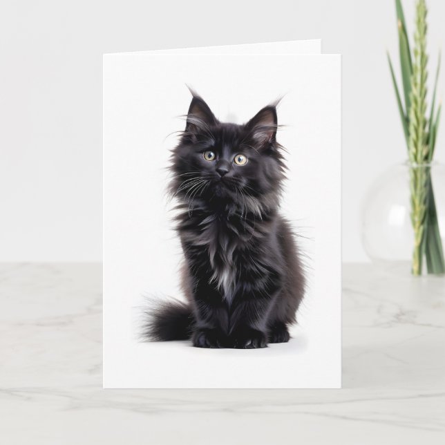 Fluffy Black Long-Heat Cat Blank Greeting Card Kort (Framsida)
