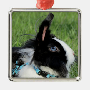 Fluffy Black och White Lionhead Bunny Rabbit Julgransprydnad Metall
