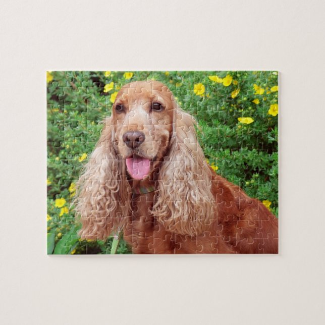 Fluffy Brown Hund Pussel (Horisontell)