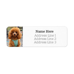 Fluffy Brown Pudel Puppy Hund Returadress Etikett