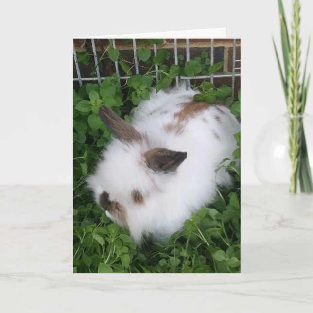 Fluffy Bunny Påsk Card Helgkort (Framsida)