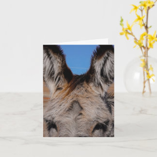 Fluffy Burro - Thank You Card Kort