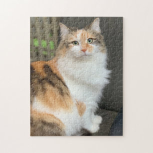 Fluffy Calico Kattunge Pussel