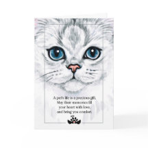 Fluffy Cat Ansikte Illustration med sällskapssympa