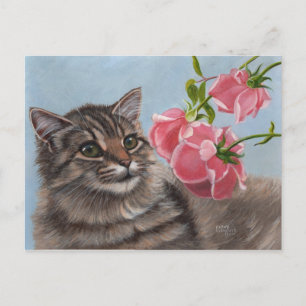Fluffy Cat och 3 Rosa ros vykort