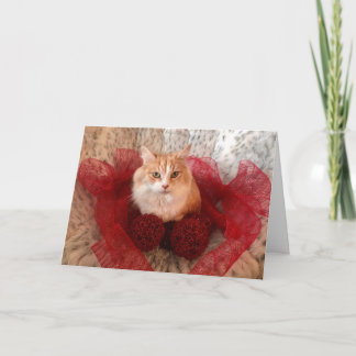 Fluffy Cat och Red Ribbon Julhälsningar kort