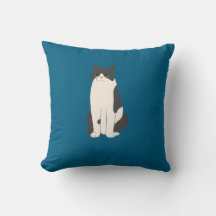 Fluffy Cat Pillow Teal