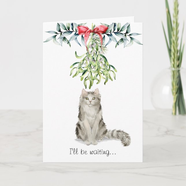 Fluffy Cat under Mistletoe-julkortet Kort (Framsida)