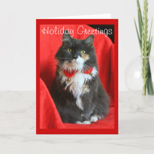Fluffy Cat vid julklapp - kort