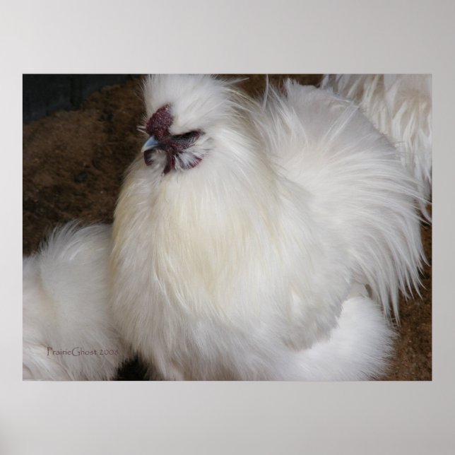 Fluffy Chicken 2 Poster (Framsidan)