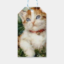 Fluffy christmas cat Watercolor Presentetikett