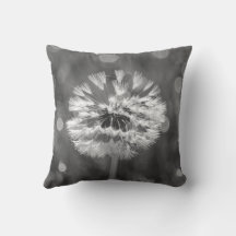 Fluffy Dandelion Black and White Flower Cotton